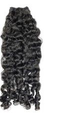 Burmese Curly