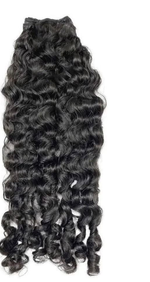 Burmese Curly